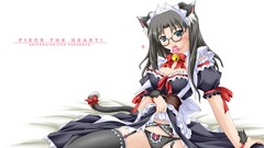 Anime condoms anime girls lingerie nekomimi meganekko maid 
