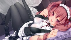 Anime costume anime girls nekomimi steins gate neko Akiha Rumiho