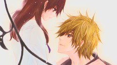 Anime couple anime girls brunettes anime boys