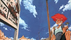 Anime cowboy bebop edward wong hau pepelu tivrusky iv