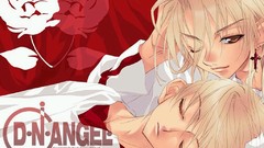 Anime D.N.Angel