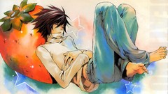 Anime death note lawliet l lawliet