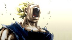 Anime Dragon Ball Dragon Ball Z vegeta