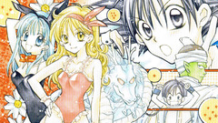 Anime dragon ball dragonball