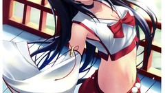 Anime dress animal ears miko detached sleeves