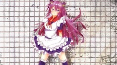 Anime dress anime girls nekomimi purple hair maid costumes