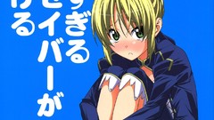 Anime dress saber anime girls zero fate zero panties