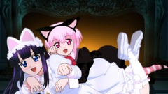 Anime dress vampire pink hair pink eyes tsukuyomi moon phase 