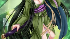 Anime elves Swords long hair green eyes cleavage sword art 
