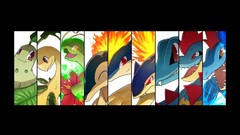 Anime Evolution Pokemon croconaw cyndaquil feraligatr meganium 