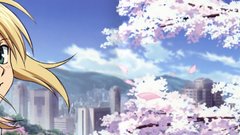 Anime fate Stay night