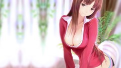Anime Ferns anime girls cleavage huge boobs
