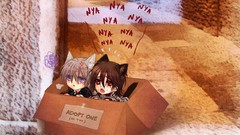 Anime funny zero vampire knight nekomimi