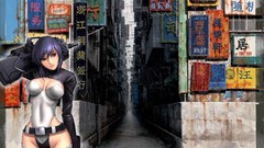 Anime Ghost in the Shell girls with guns Kusanagi Motoko soft 