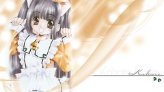 Anime girls animal ears