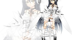 Anime girls animal ears soft shading