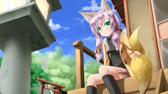 Anime girls animal ears stairways fox girls kitsunemimi torii