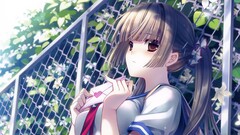 anime girls Anime school uniform ponytail schoolgirl fence