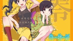 Anime girls araragi karen nisemonogatari Japanese clothes 