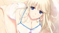 Anime girls blue eyes game cg cleavage bikini visual novels 