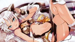 Anime girls blue eyes nekomimi ecchi stuffed animals