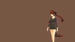 Anime girls brown eyes braids touhou nekomimi animal ears 