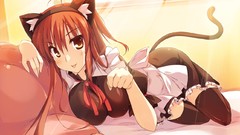Anime girls brown eyes brunettes nekomimi animal ears tails 