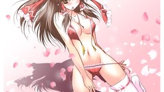 Anime girls brown eyes hakurei reimu touhou thigh highs