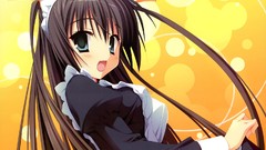 Anime girls brunettes animal ears