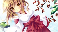 Anime girls brunettes nekomimi miko