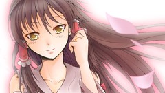 Anime girls brunettes yellow eyes hakurei reimu touhou detached 