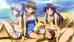 Anime girls campione swimsuits