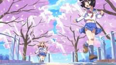 Anime girls cherry blossoms