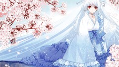 Anime girls cherry blossoms