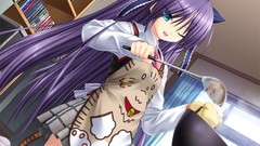 Anime girls cooking game