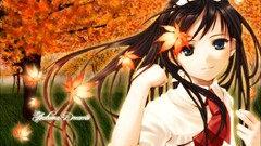 anime girls fall smiling school uniform schoolgirl