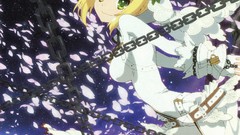 Anime girls fate series scans Fate/EXTRA Saber Bride