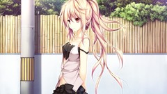 Anime girls game cg