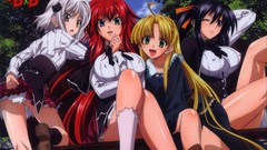 Anime girls gremory rias highschool dxd Asia Argento Himejima 