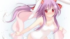 Anime girls hakurei reimu touhou animal ears reisen udongein 