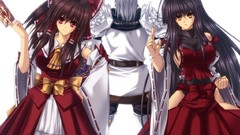 Anime girls hakurei reimu touhou miko video games crossovers 