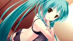 Anime girls hatsune miku vocaloid bra underwear panties 