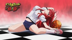Anime girls highschool dxd gym uniforms