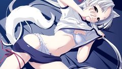 Anime girls kitsunemimi