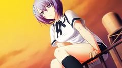 Anime girls knee socks