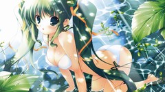 Anime girls koihime musou swimsuits