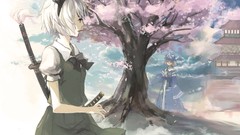 Anime girls konpaku youmu touhou saigyouji yuyuko video games