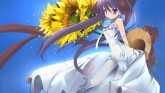 Anime girls lucky star hiiragi kagami