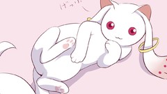 Anime girls mahou shoujo madoka magica