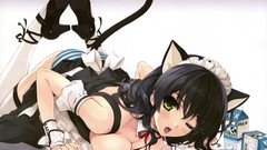 Anime girls maids nekomimi maid costumes